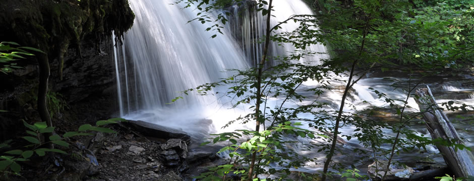 无限轰炸手机软件短信下载